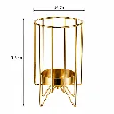 ChatGPT Image May 18, 2026, 11_50_16 PM.webp